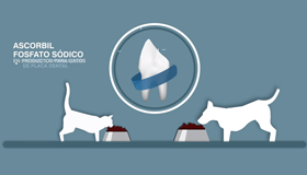 CONTROL DEL SARRO DENTAL